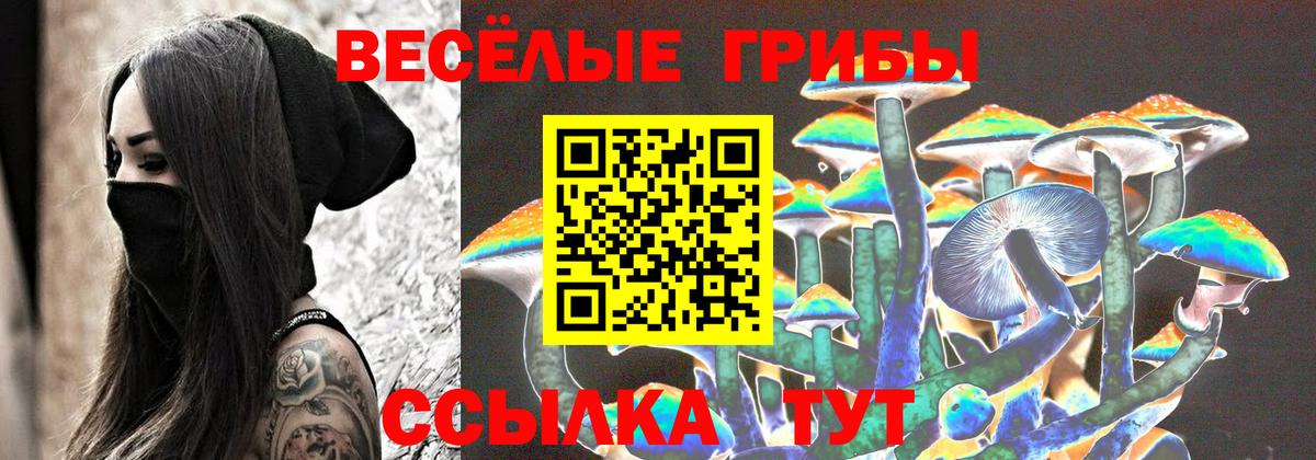 Псилоцибиновые грибы Magic Shrooms Вышний Волочёк