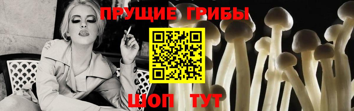 Галлюциногенные грибы Cubensis  сколько стоит  Вышний Волочёк  Псилоцибиновые грибы GOLDEN TEACHER  Вход с VPN 
